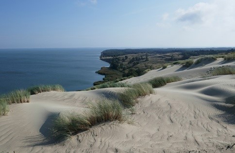 Baltic 9