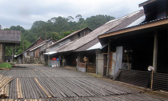 Kuching 11.jpg