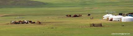 Mongolia 13.jpg