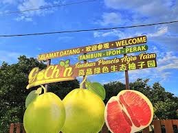Penang 10.jpg