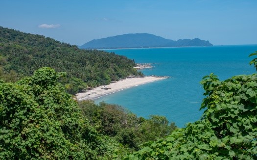 Southern Thailand 4.jpg