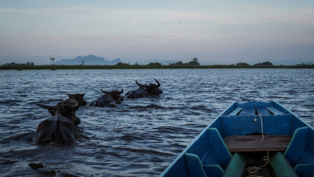 Southern Thailand 5.jpg